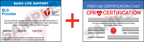 Sample American Heart Association AHA BLS CPR Card Certificaiton and First Aid Certification Card from CPR Certification Columbus