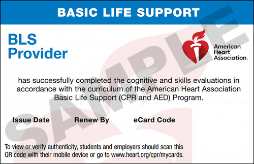 Sample American Heart Association AHA BLS CPR Card Certification from CPR Certification Columbus